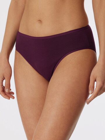 SCHIESSER Panty ' 95/5 Organic Cotton ' in Purple: front