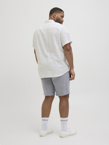 Jack & Jones Plus Regular fit Overhemd in Wit