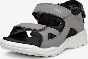 ECCO Sandale 'Biom Raft' in Grau: Vorderseite