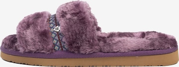 Minnetonka Mule 'London' in Purple: front