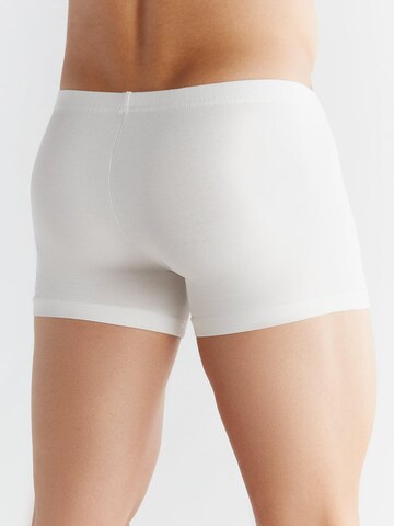 Albero Natur Boxer shorts 'Bio-Baumwoll-Herren Retroshorts -2er Pack' in White