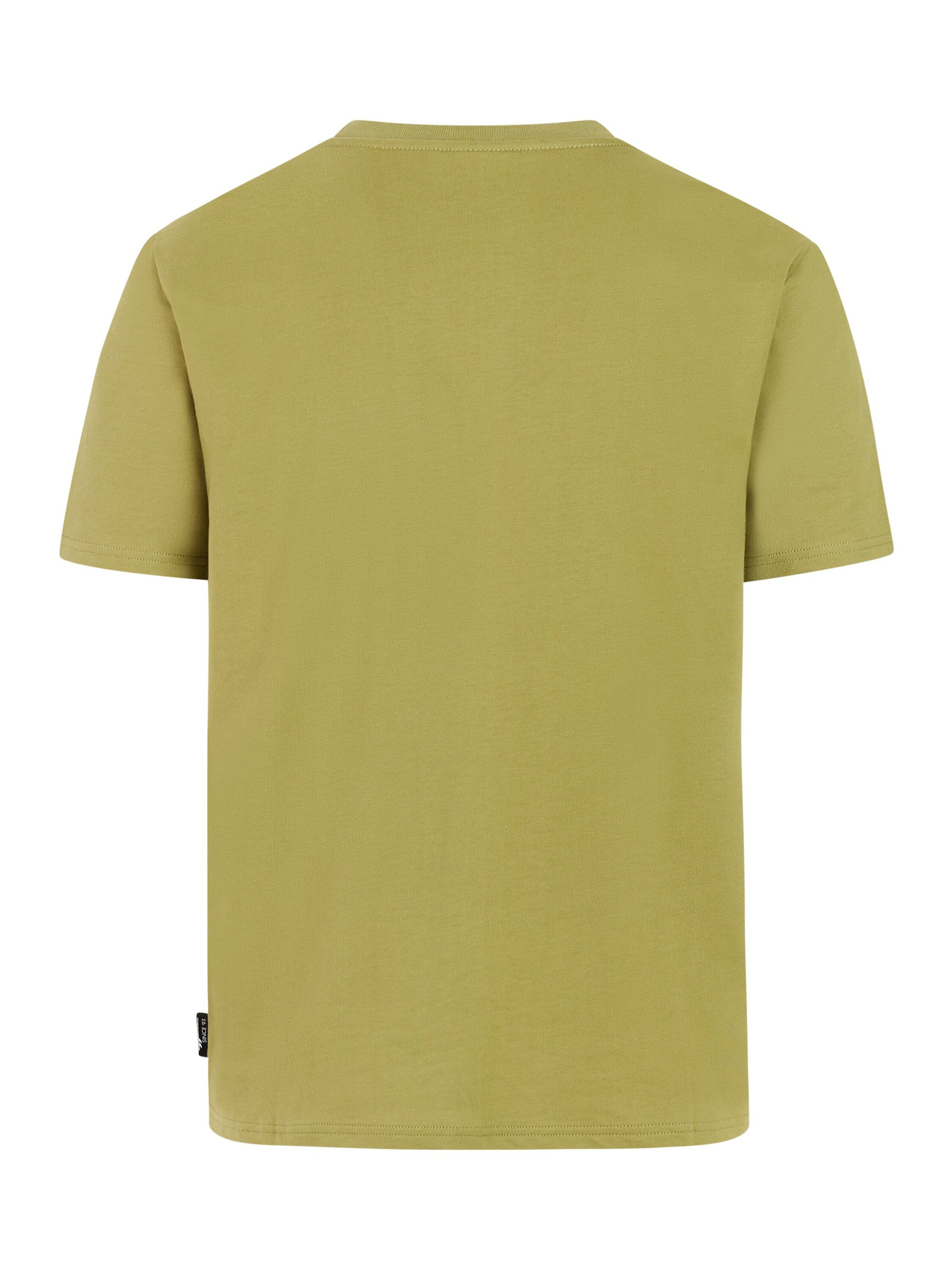 PROTEST Shirt 'PRTAfia' in Green