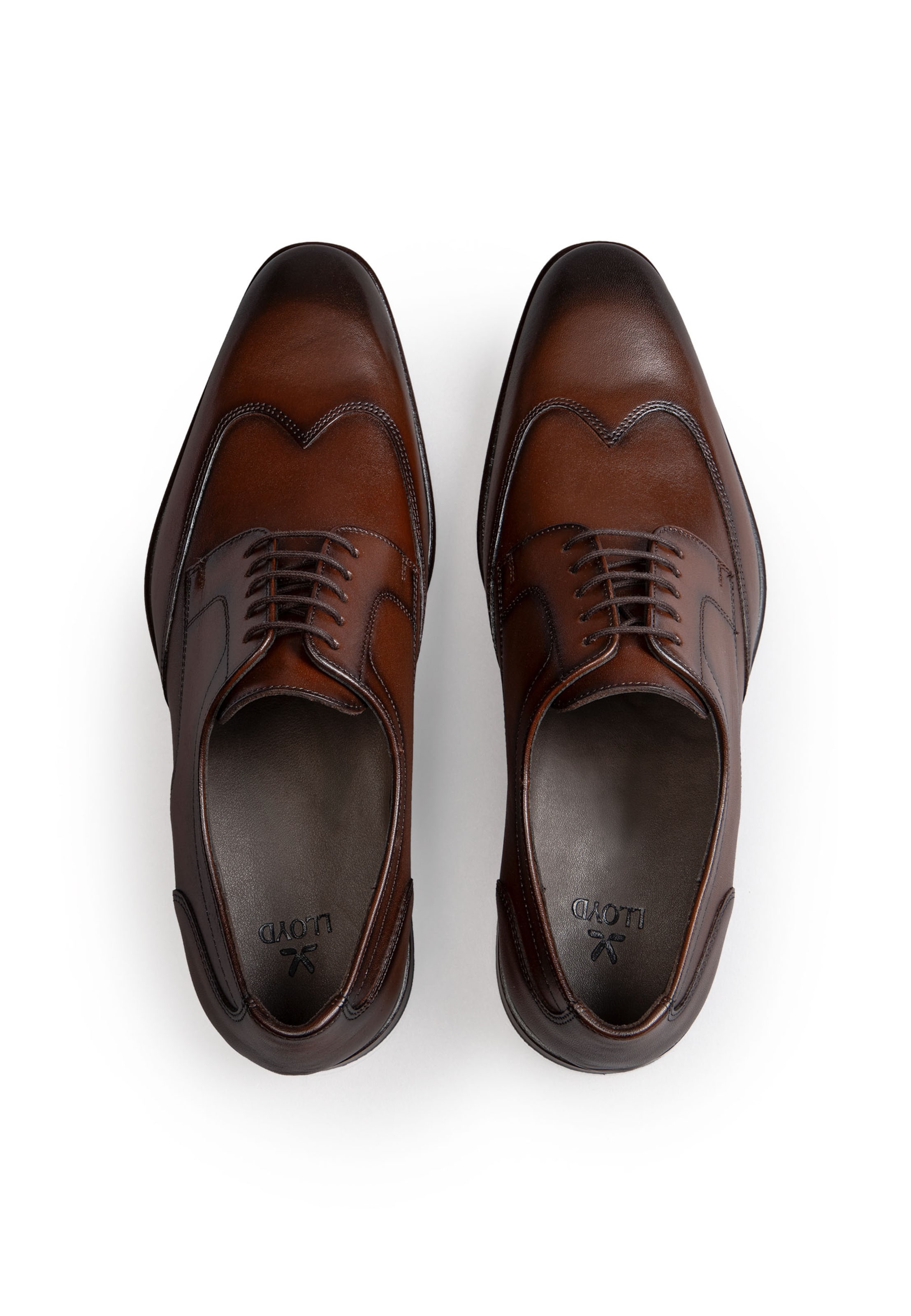 LLOYD Schnürschuh LENO 140 in Braun