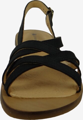 EL NATURALISTA Strap Sandals in Black