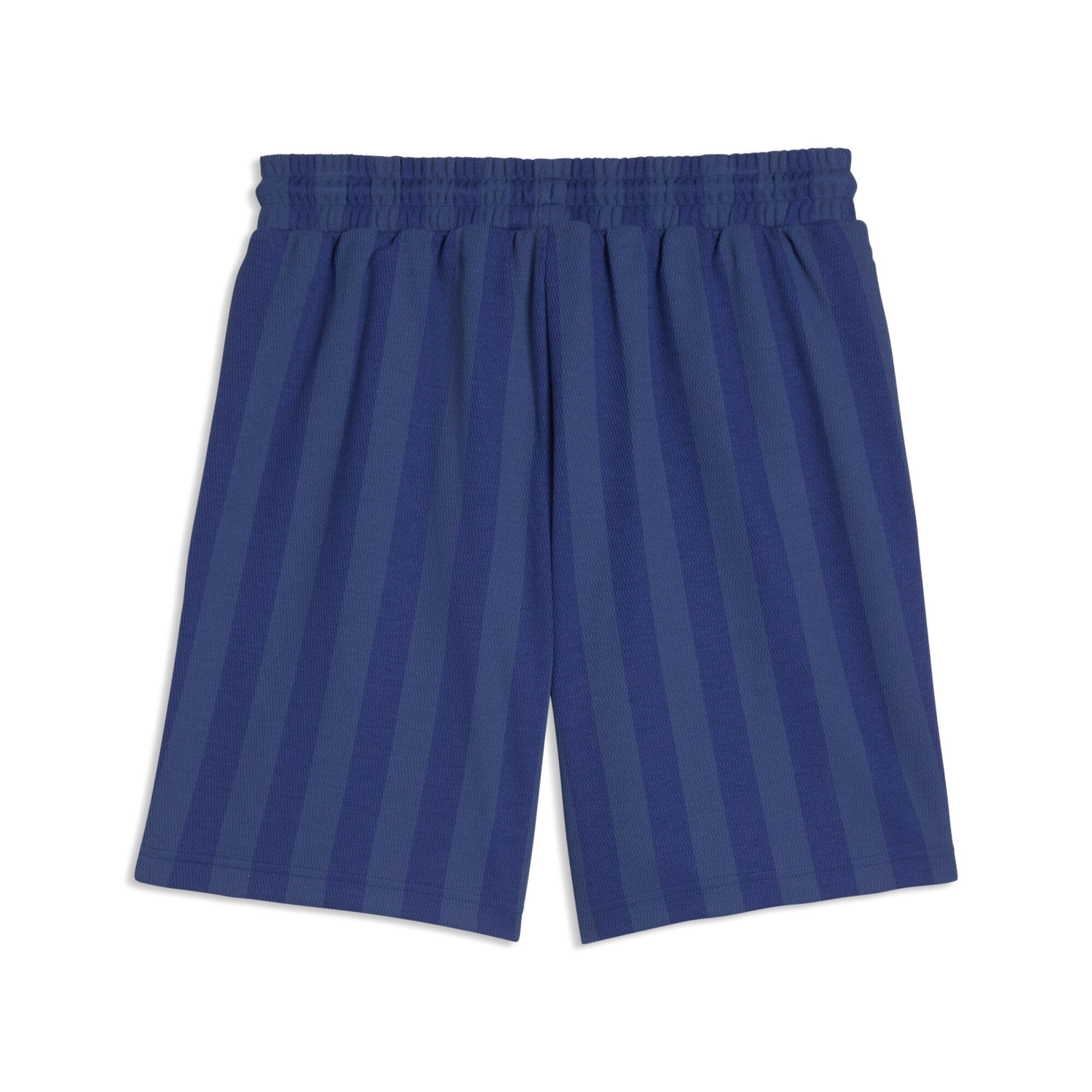 PUMA Regular Pants in Blue