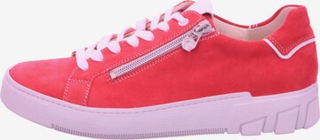 Ganter Lace-Up Shoes in Pink