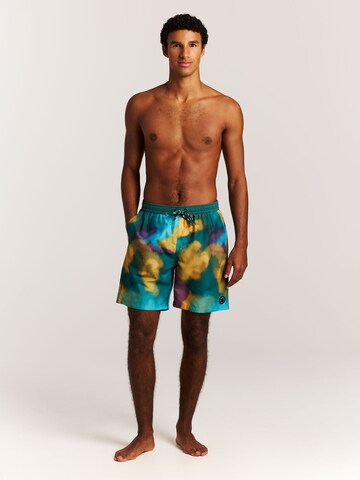 PROTEST Badeshorts 'PRTFligth'‌‌‌‌‌‌‌‌‌ in Grün