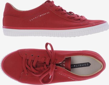 ESPRIT Sneaker 38 in Rot: predná strana