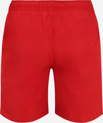 Sergio Tacchini Regular Pants 'ROB' in Red