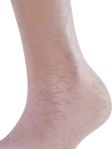 FALKE Overknee Strümpfe 'Soft Spell'‌‌‌‌‌‌‌‌‌‌ in Lila