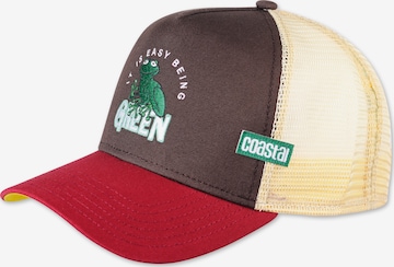 Coastal Czapka z daszkiem 'HFT Easy Green' w kolorze mieszane kolory: przód