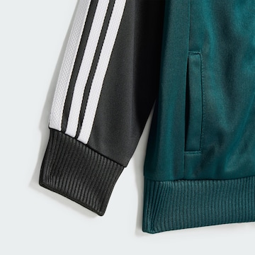 ADIDAS ORIGINALS Joggingpak 'Adicolor' in Groen