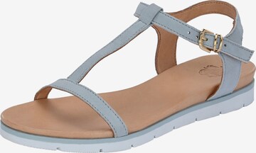 Apple of Eden Sandalen met riem 'DANA' in Blauw: voorkant