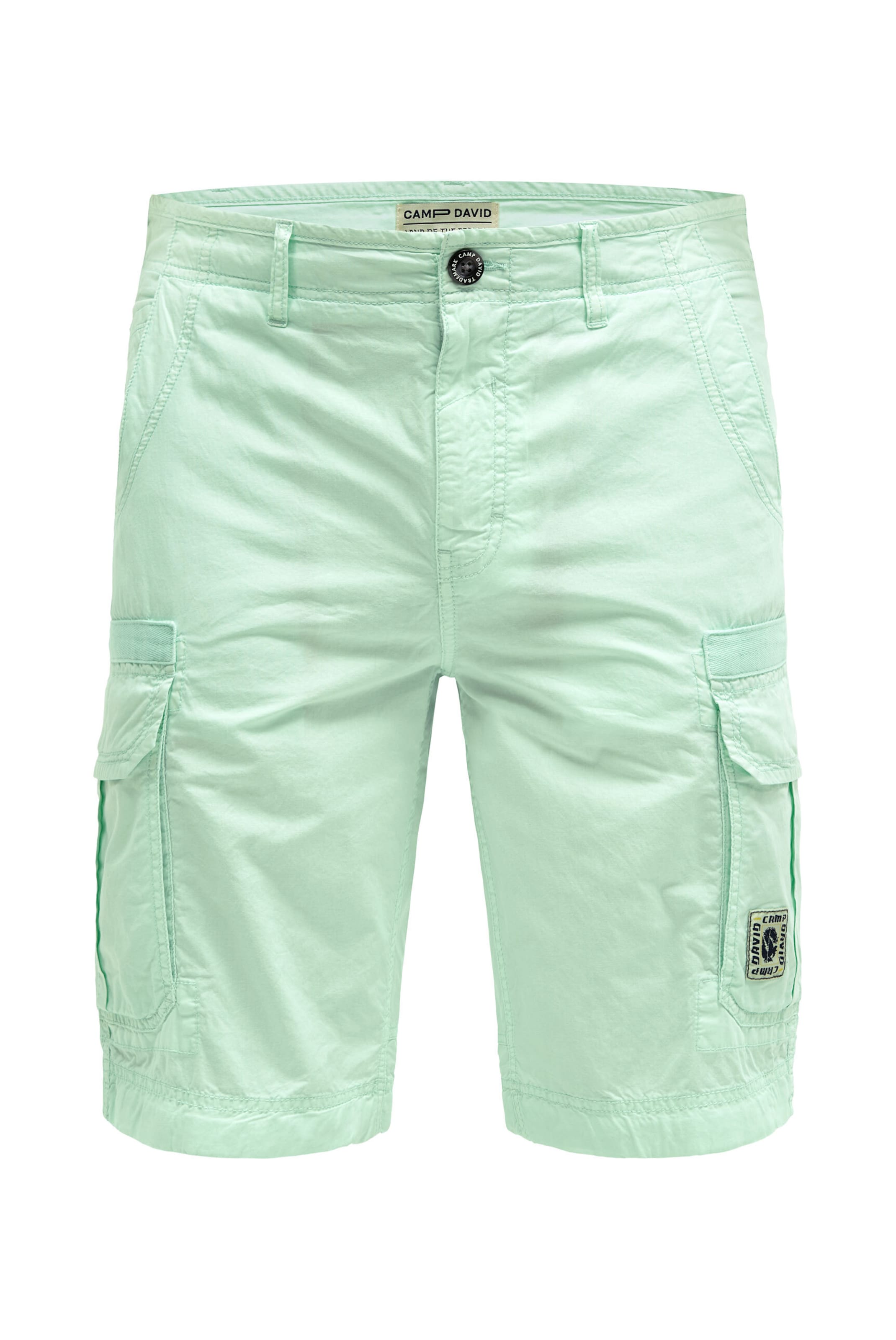 CAMP DAVID Regular Cargo Pants in Green: front