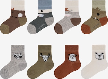 camano Socks in Mixed colors: front