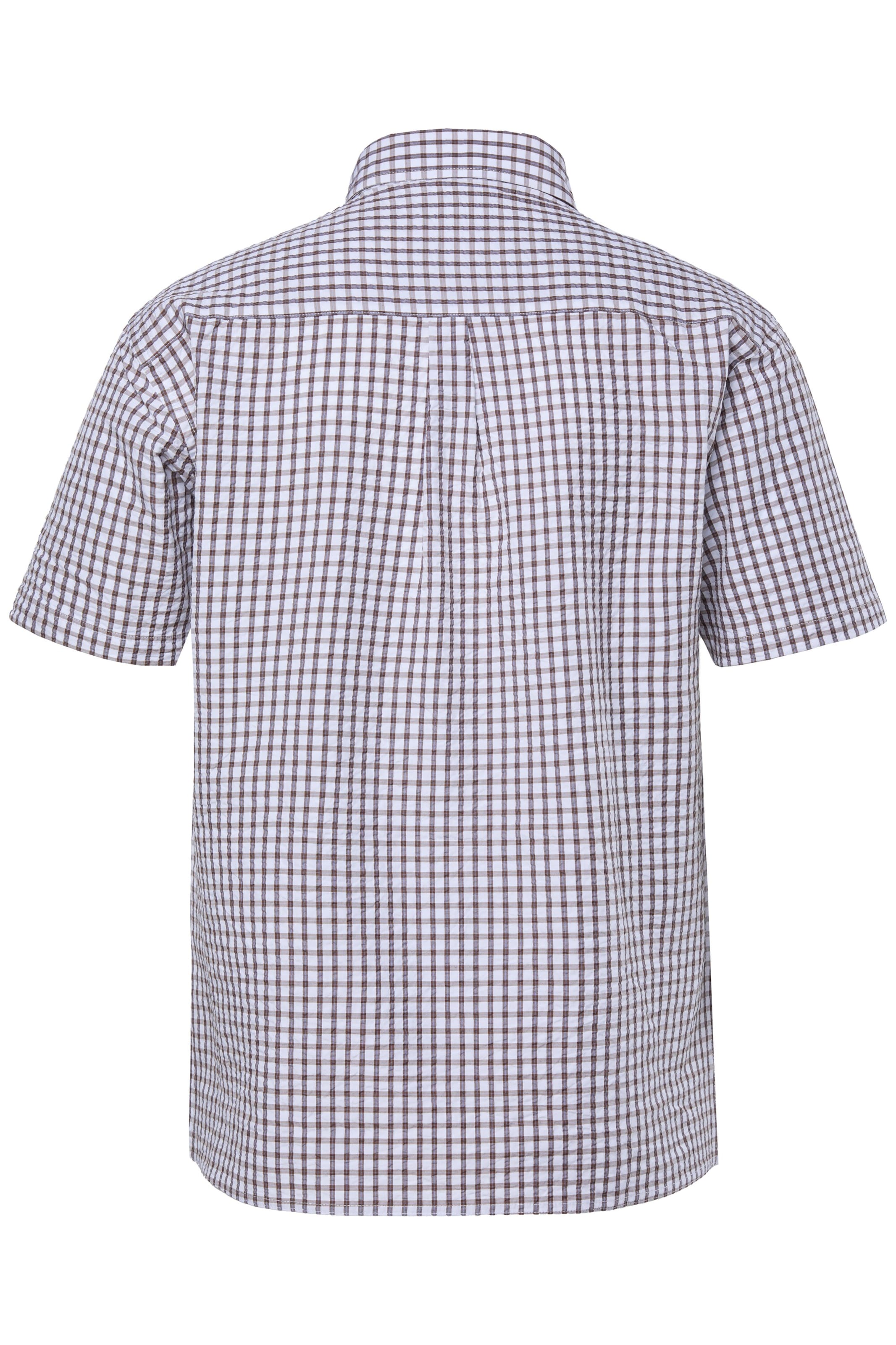 Men Plus Regular fit Overhemd in Blauw