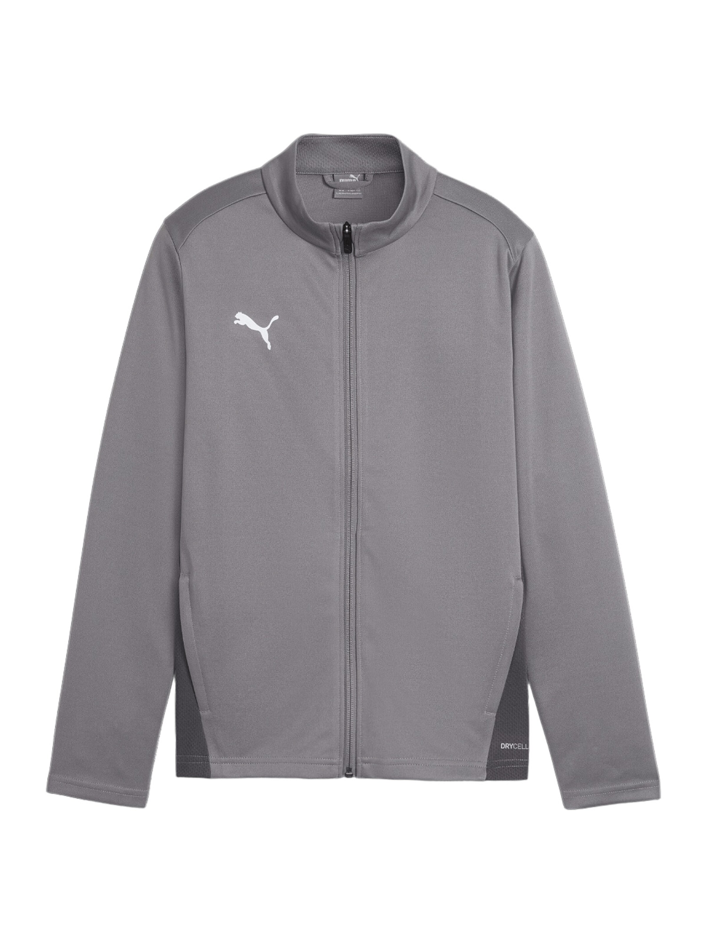 PUMA Trainingsjacke 'TeamGoal' in Grau: Vorderseite