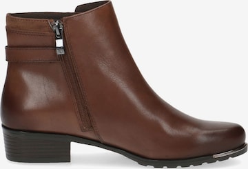 CAPRICE Booties in Brown