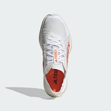 ADIDAS TERREX - Zapatos bajos 'Agravic Speed Trai' en blanco