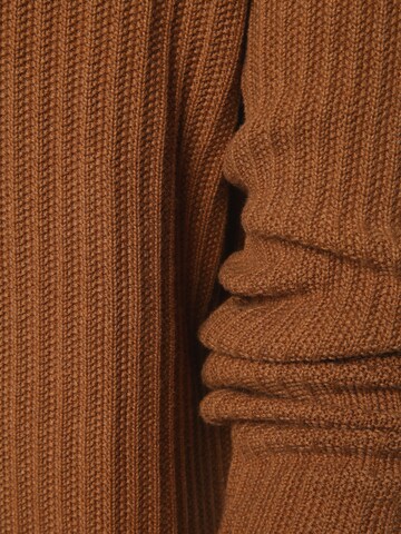 FYNCH-HATTON Pullover in Braun