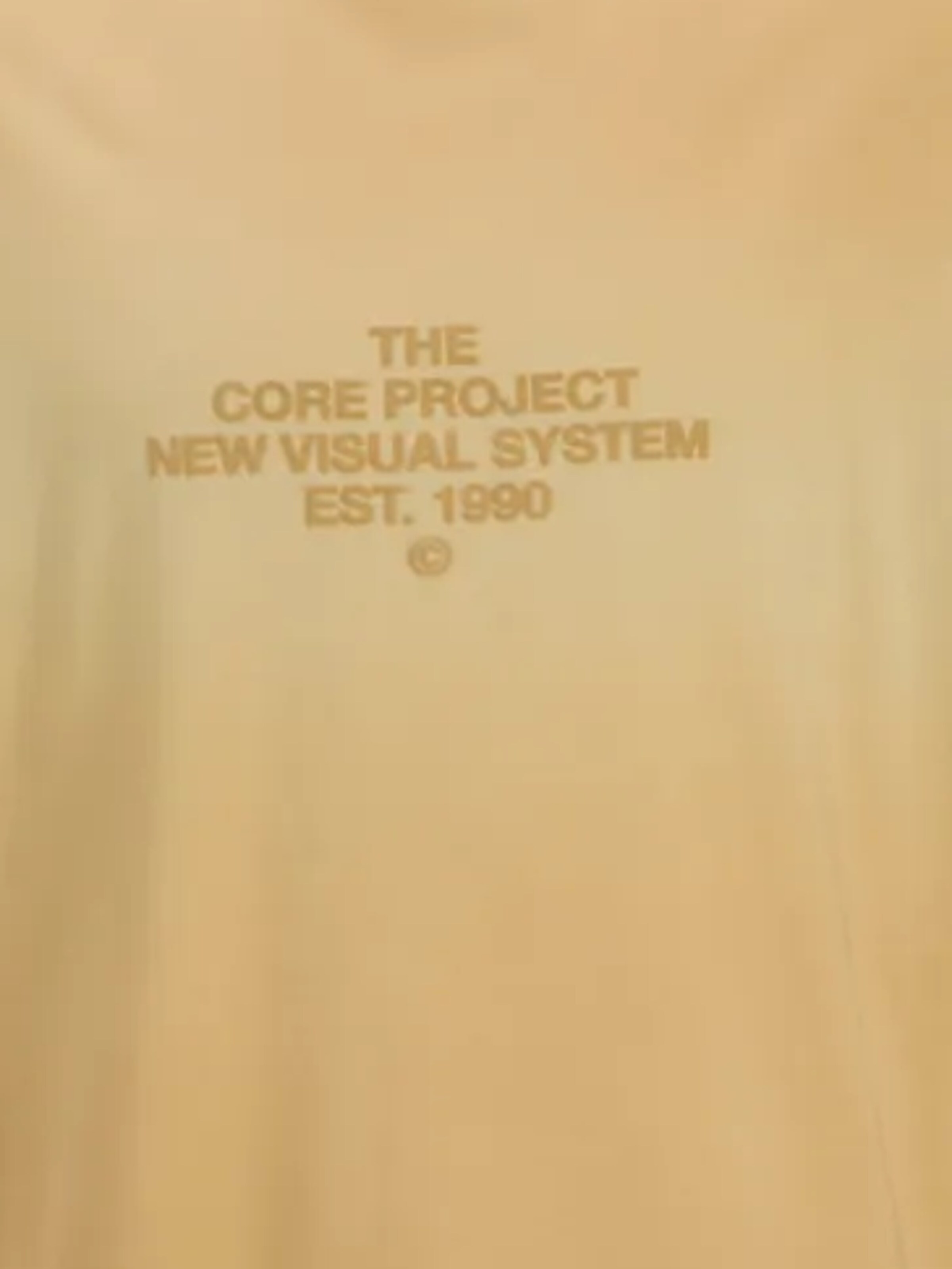 Maglietta 'Horizon' di Jack & Jones Junior in arancione