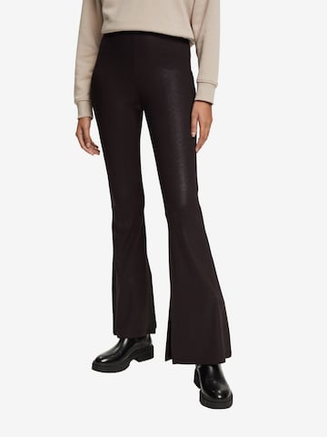 ESPRIT Flared Pants in Brown