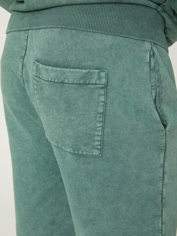 DAN FOX APPAREL Regular Pants 'Connor' in Green