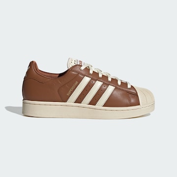 Baskets basses 'Superstar II' ADIDAS ORIGINALS en marron