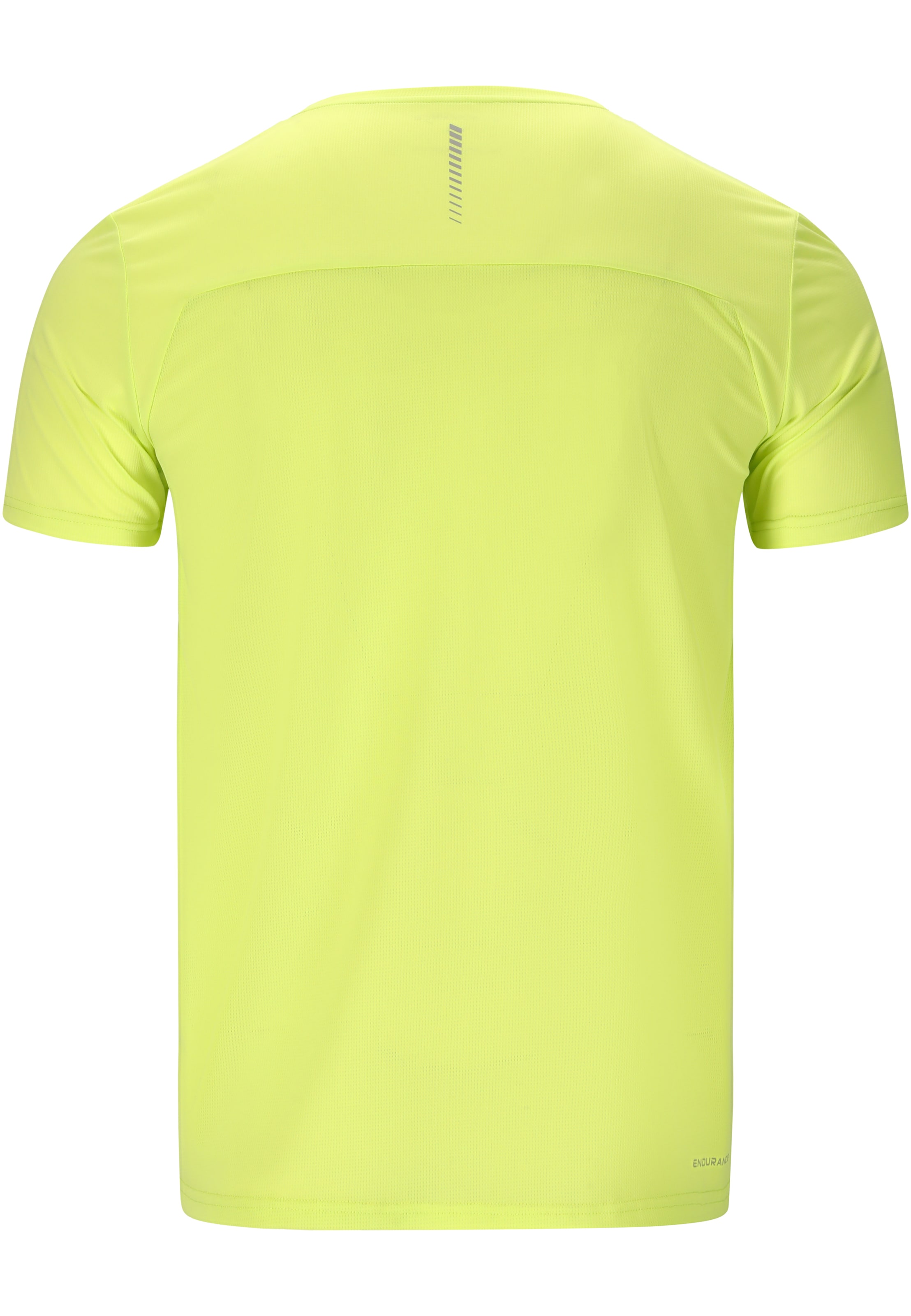 ENDURANCE Functioneel shirt 'Waane' in Groen