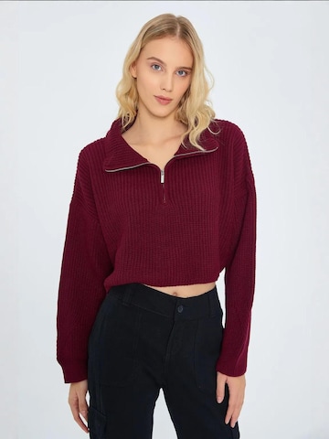 Pullover 'Pullover' di MixRay in rosso: frontale