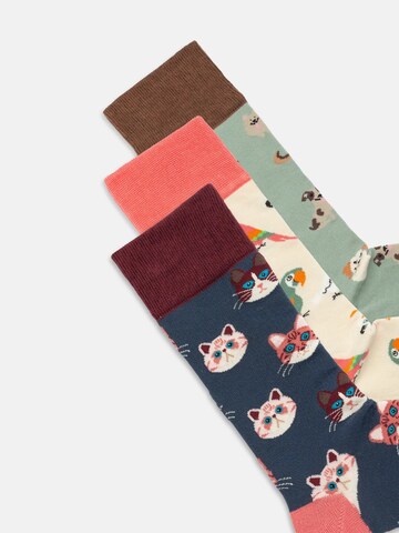 DillySocks Socken 'Precious Pets' in Mischfarben