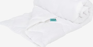 Wendre Blankets in White: front