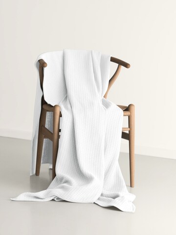 Cradle Studio Blankets in White