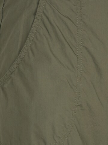 Regular Pantalon 'Asia' Cotton On Petite en vert