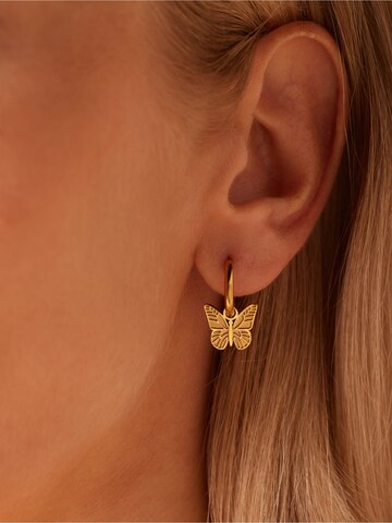 Boucles d'oreilles Lucardi en or : devant