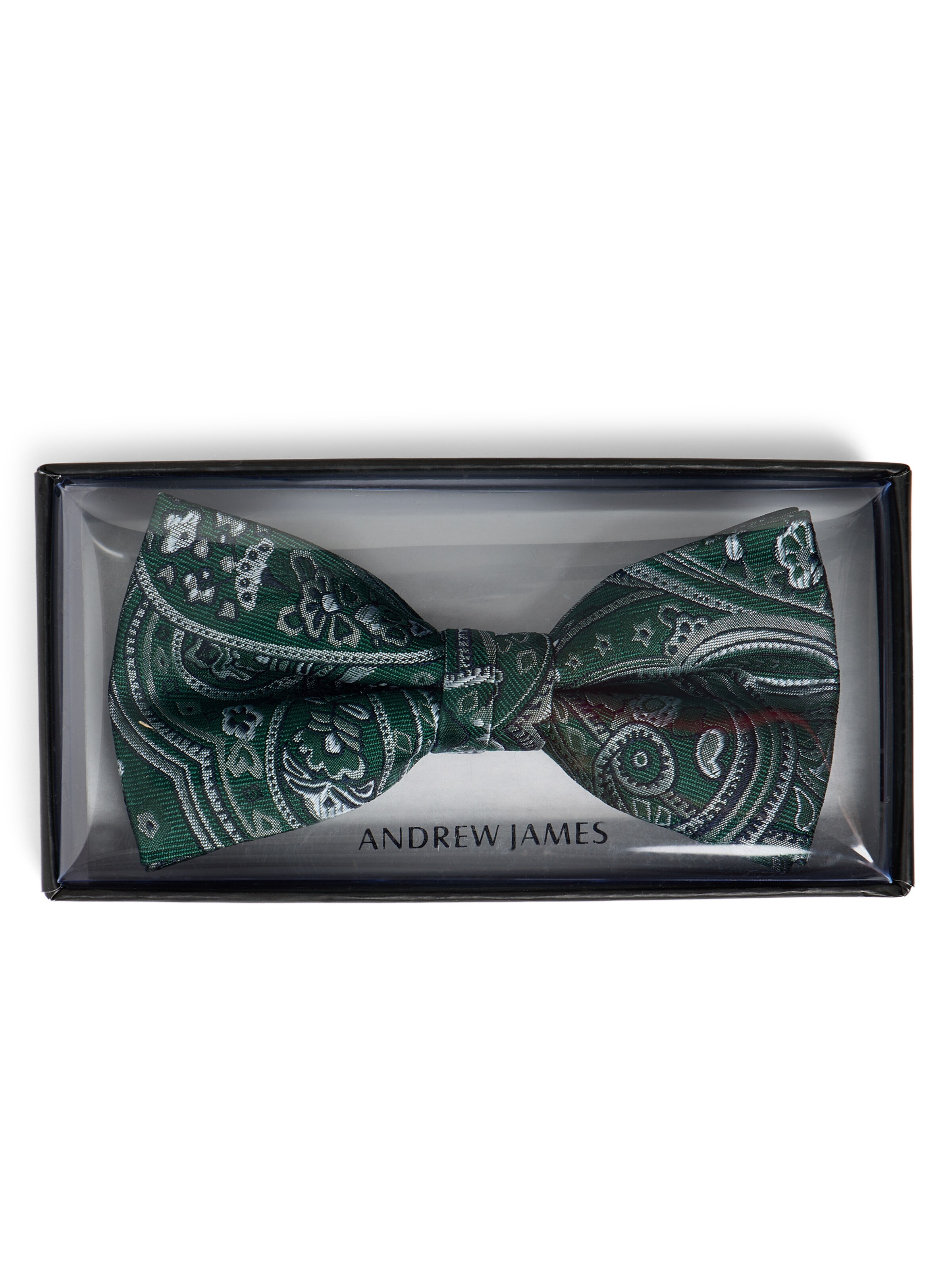 Andrew James Bow Tie in Green