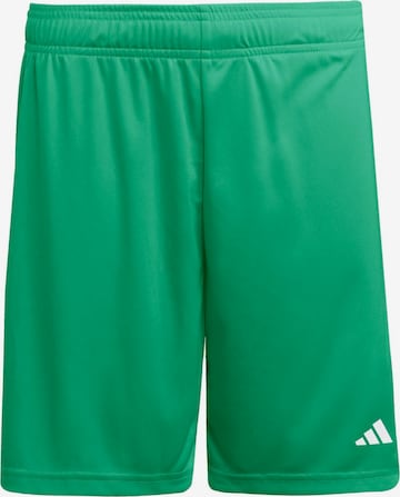 ADIDAS PERFORMANCEregular Sportske hlače 'ENT26' - zelena boja: prednji dio