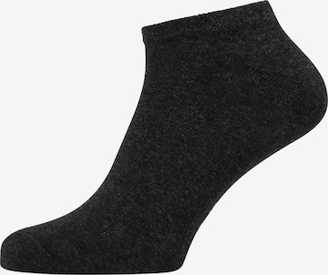 Götzburg Socks in Grey