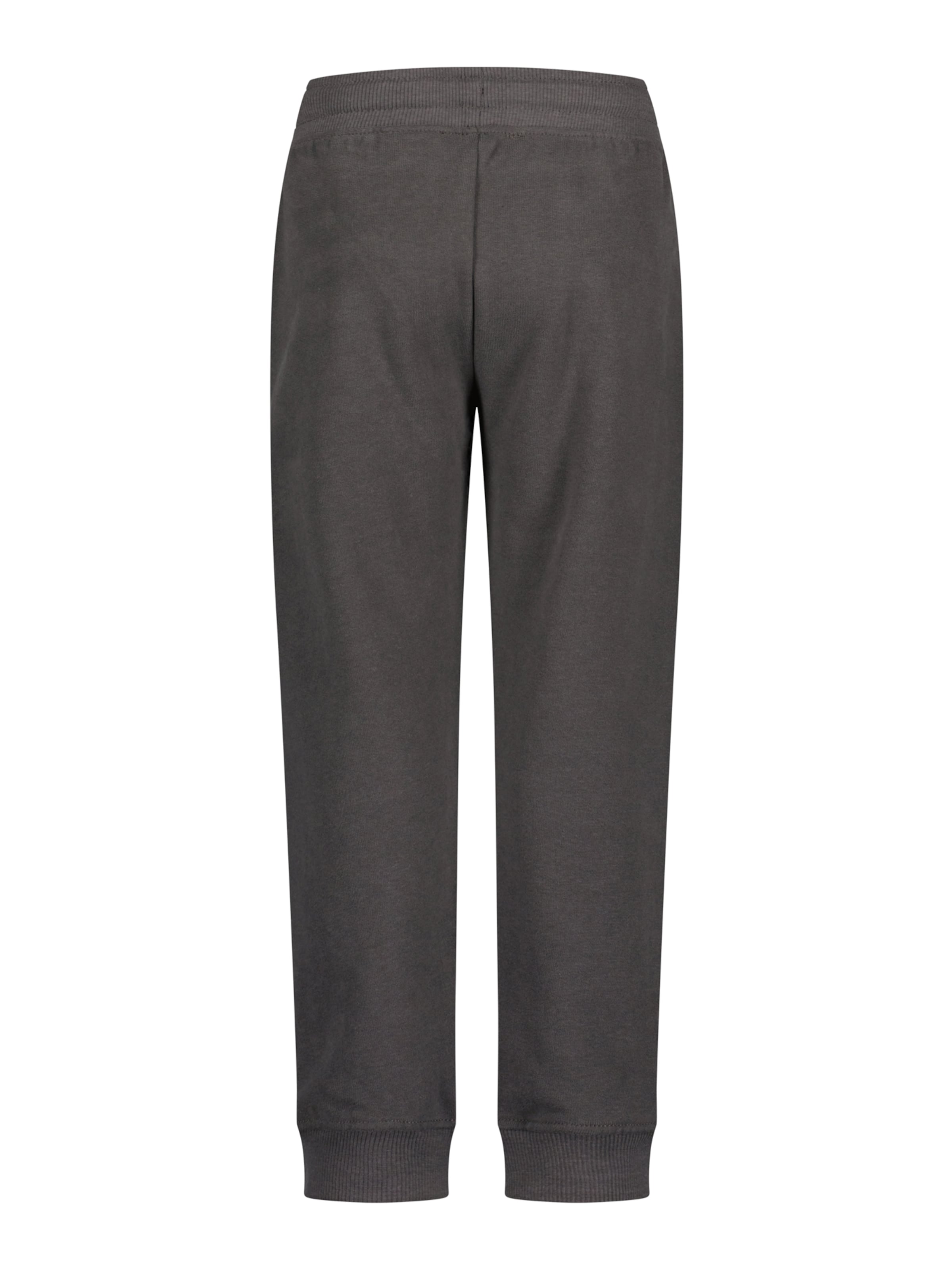 BLUE SEVEN Regular Pants in Grey