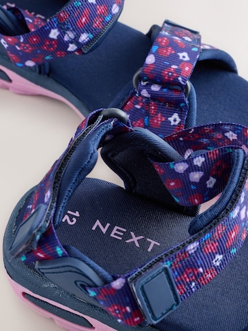 Sandales Next en violet