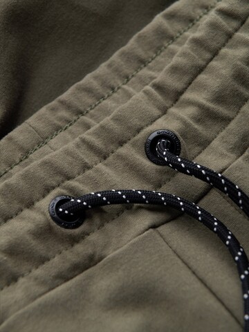 Coupe slim Pantalon 'Eximio' Ombre en vert