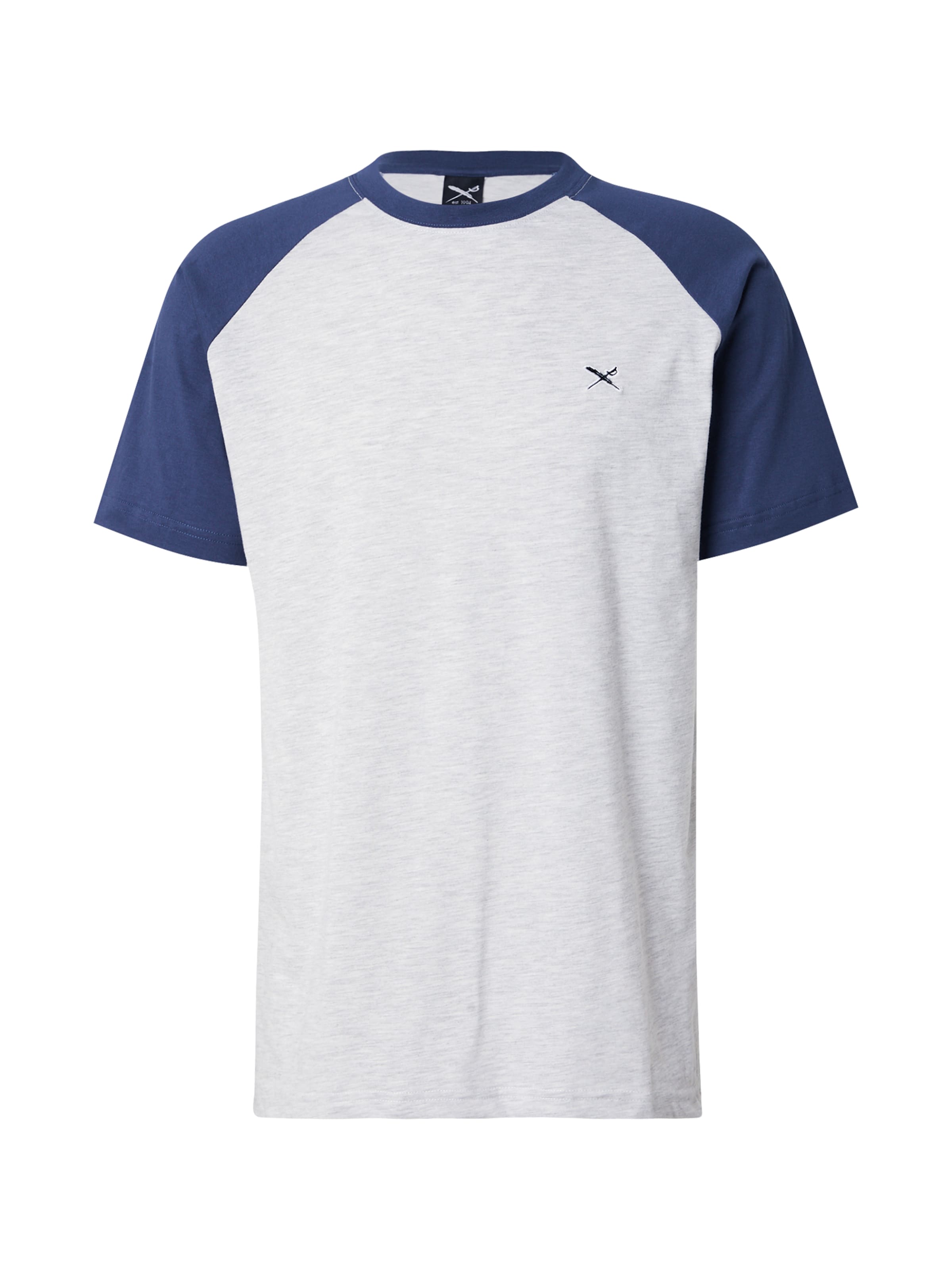 Iriedaily Shirt 'De College' in Grey: front