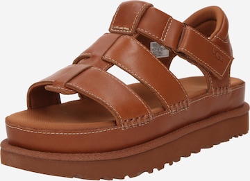 UGG Sandal 'GOLDENSTAR' i brun: framsida