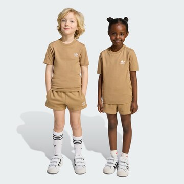 Set ADIDAS ORIGINALS en marron : devant