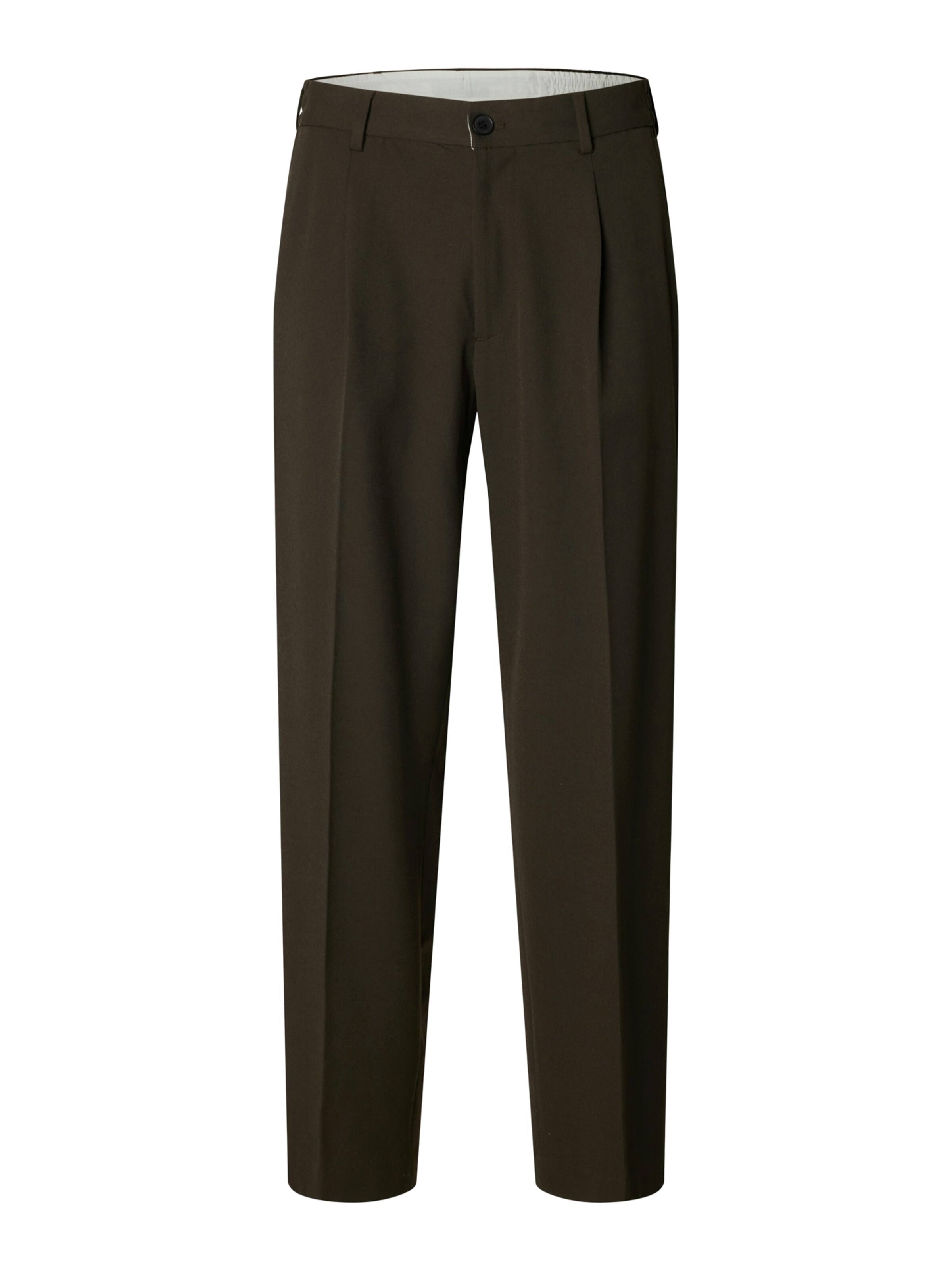 SELECTED Pleat-front trousers 'SLH220-FINN' in Brown: front