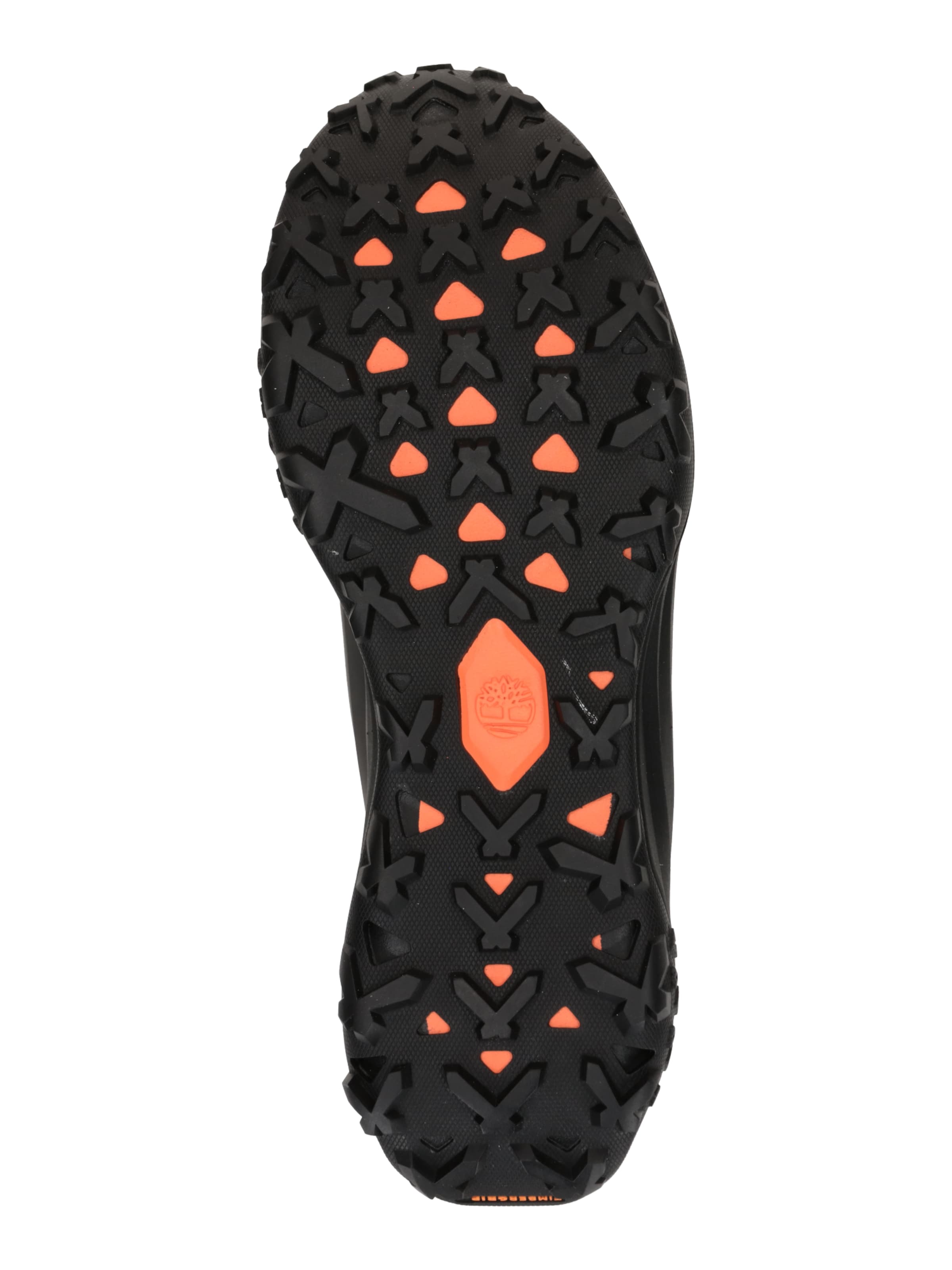 Sneaker bassa di TIMBERLAND in nero