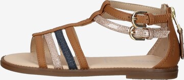 GEOX Sandalen 'Karly' in Bruin