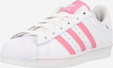 Baskets basses 'Superstar' ADIDAS ORIGINALS en blanc : devant