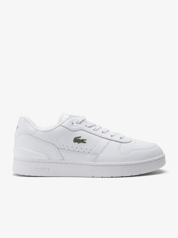 Baskets basses LACOSTE en blanc