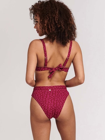 Shiwi Balconette Bikini 'DAISY' i pink